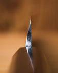 Sakai Takayuki Byakko Yanagi 270mm (10.5")