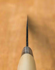 Karaku Aogami Gyutou 210mm (8.2")