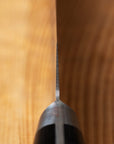 Sakai Takayuki TUS Sujihiki 240mm